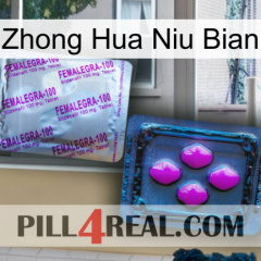 Zhong Hua Niu Bian 37